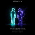 Syntrique - When You're Gone (Vocal House Mix)